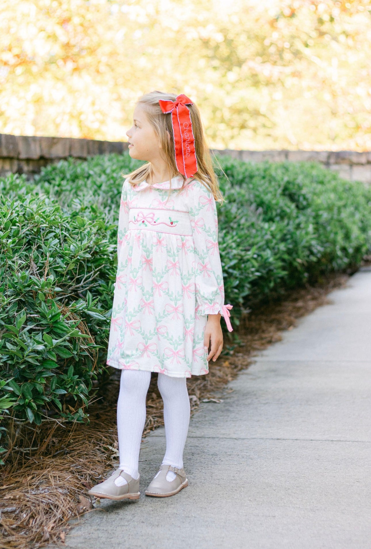 Girls Bow Embroidery Dress-Holly Days