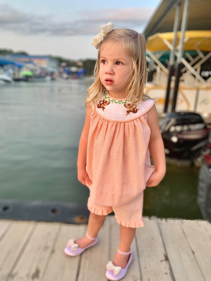 Smocked Monkey Short Set