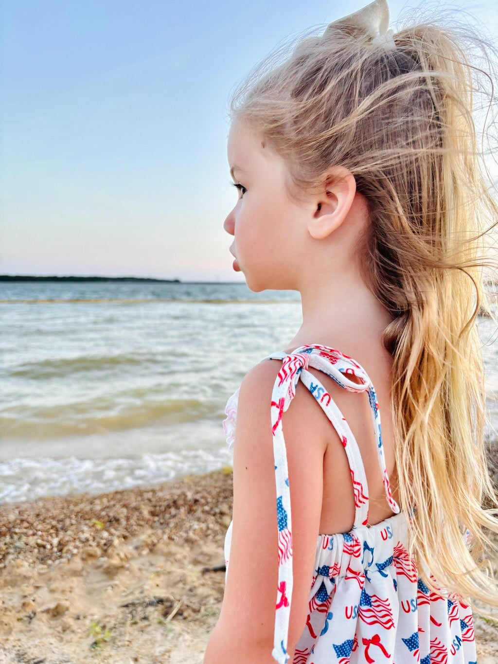 FLAG EMBROIDERY PRINT RUFFLE DRESS