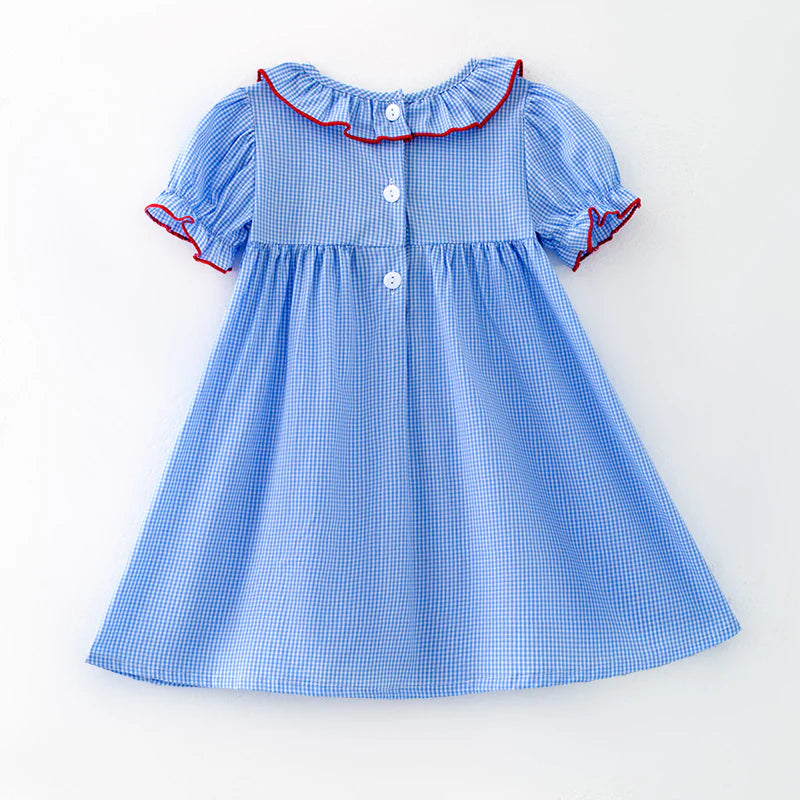 Gingham Embroidered Baseball Dress