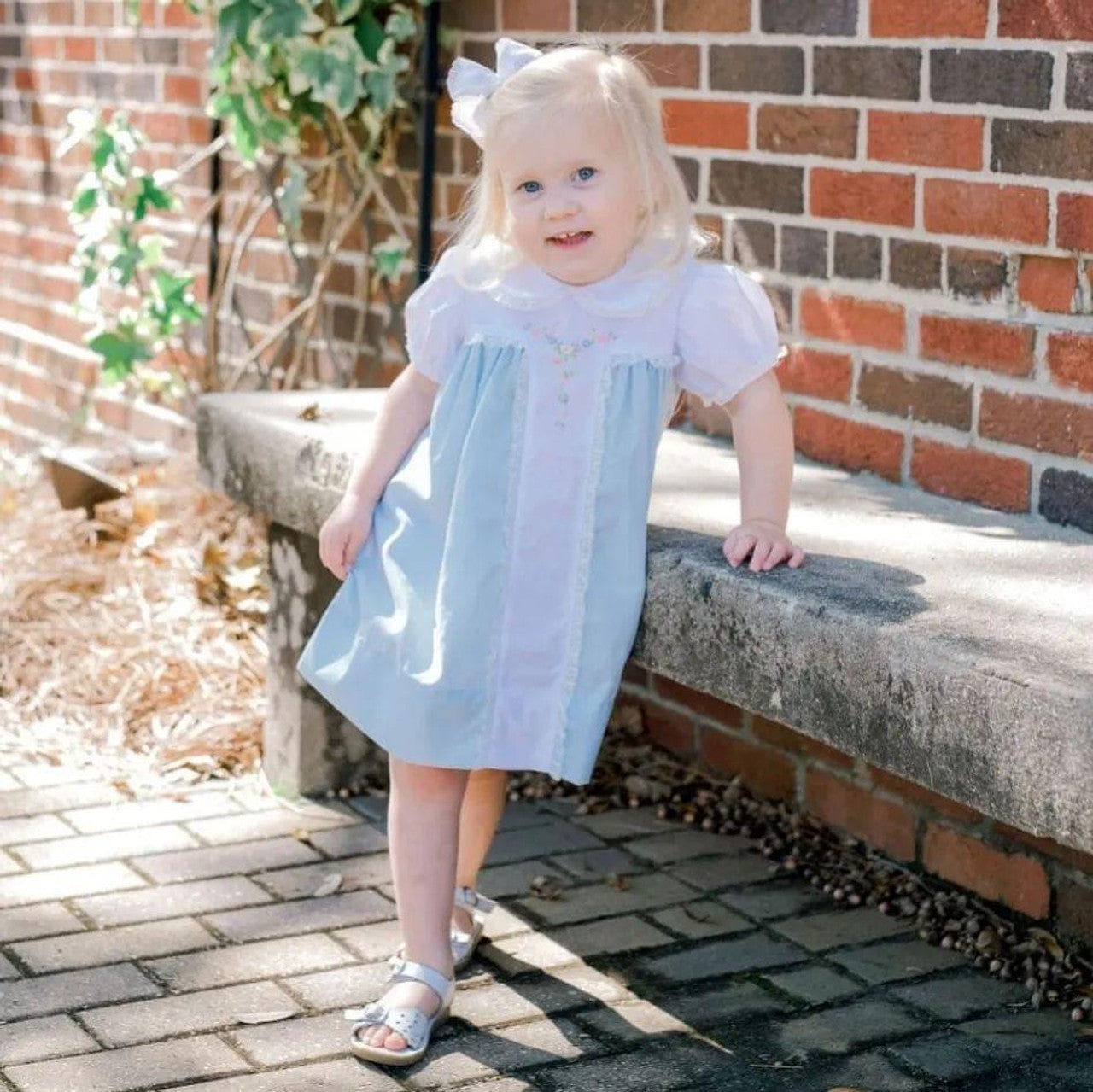 Sophia Blue Dress with Embroiderd florals and Lace