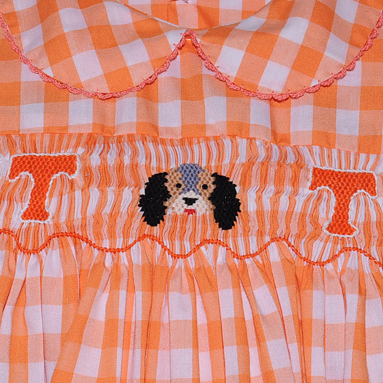 Tennessee Smocked Smokey Dog Dress Dress
