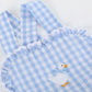 Blue Gingham Goose Lace Bow Ruffle Romper