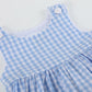 Blue Gingham Goose A Line Dress