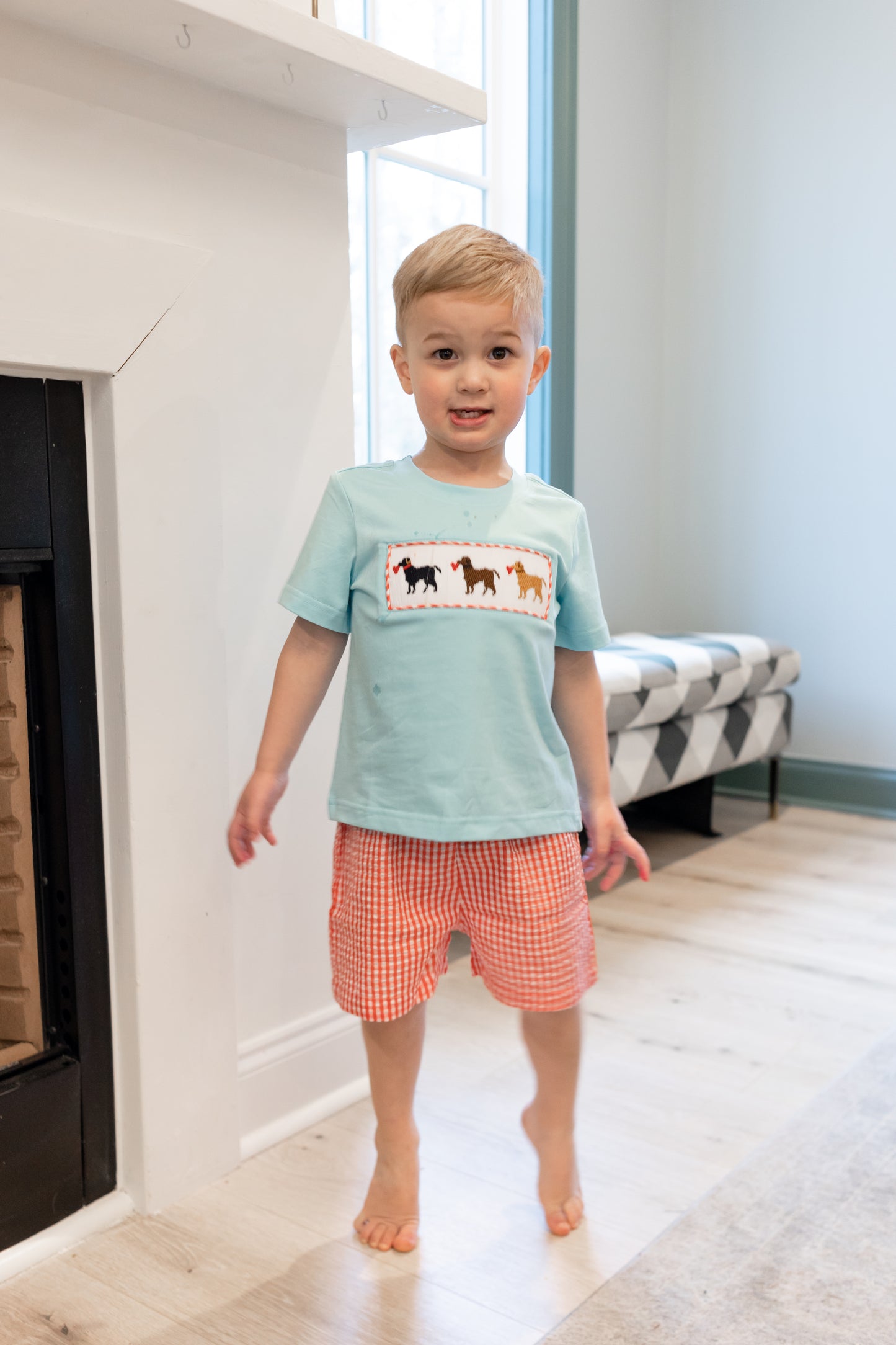 Hand Smocked Valentine Boy Puppy Short Set
