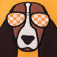 ORANGE TENNESSEE APPLIQUE  Boy BUBBLE