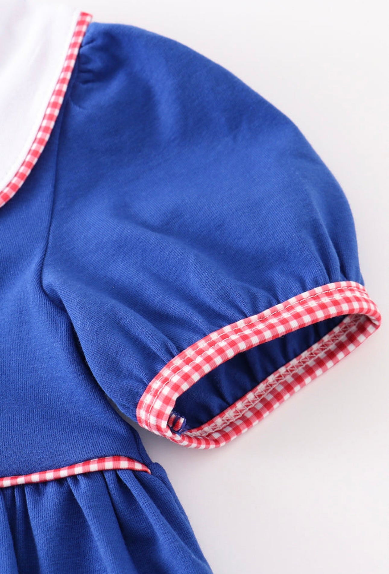 Embroidered Bus Dress with collar and piping