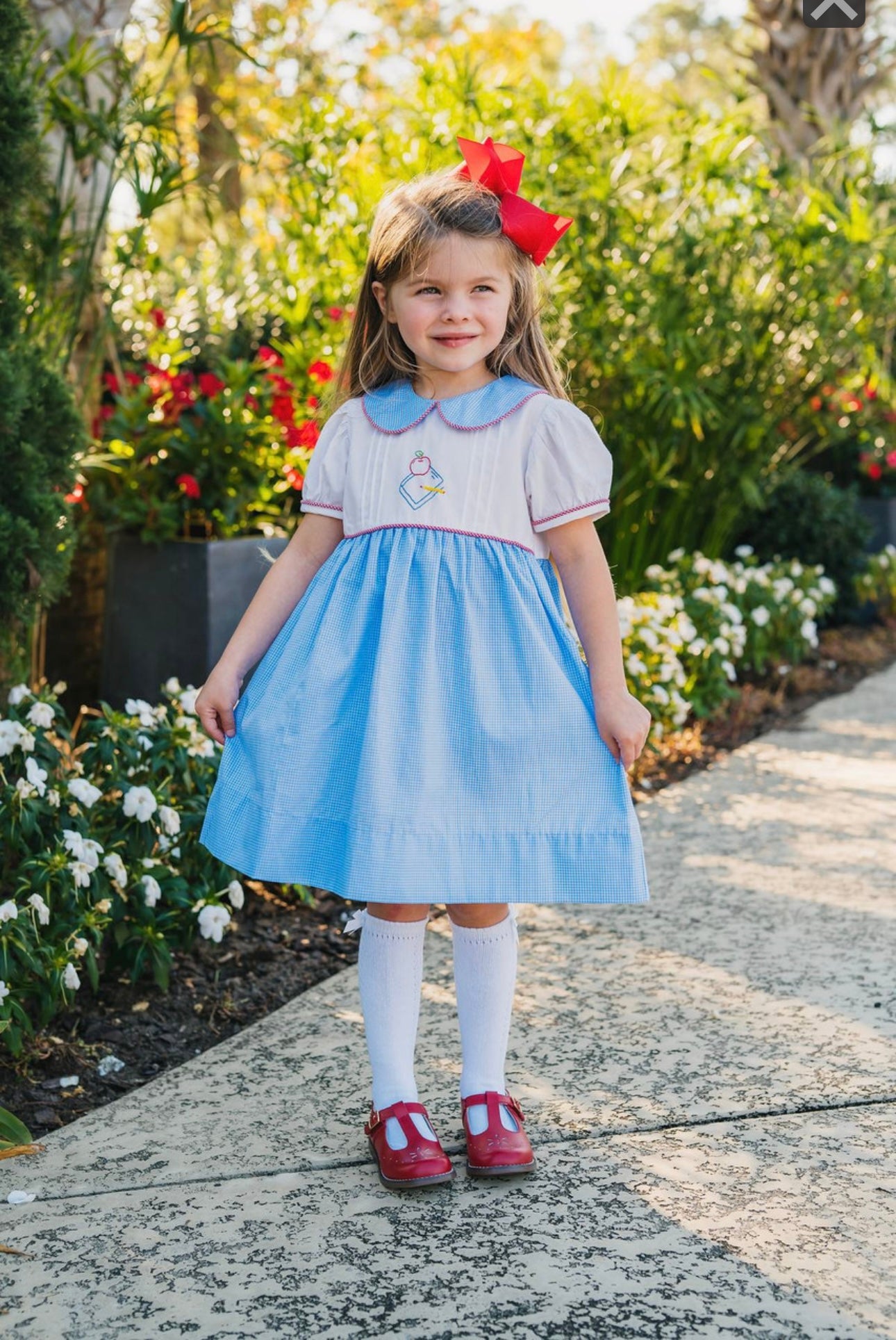 Blue Gingham Bookworm Dress