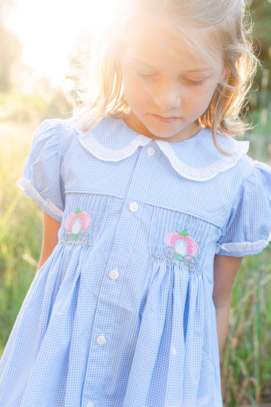 Blue Gingham Smocked  Dress-Pumpkins